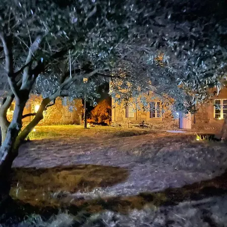 Lancara Lugo